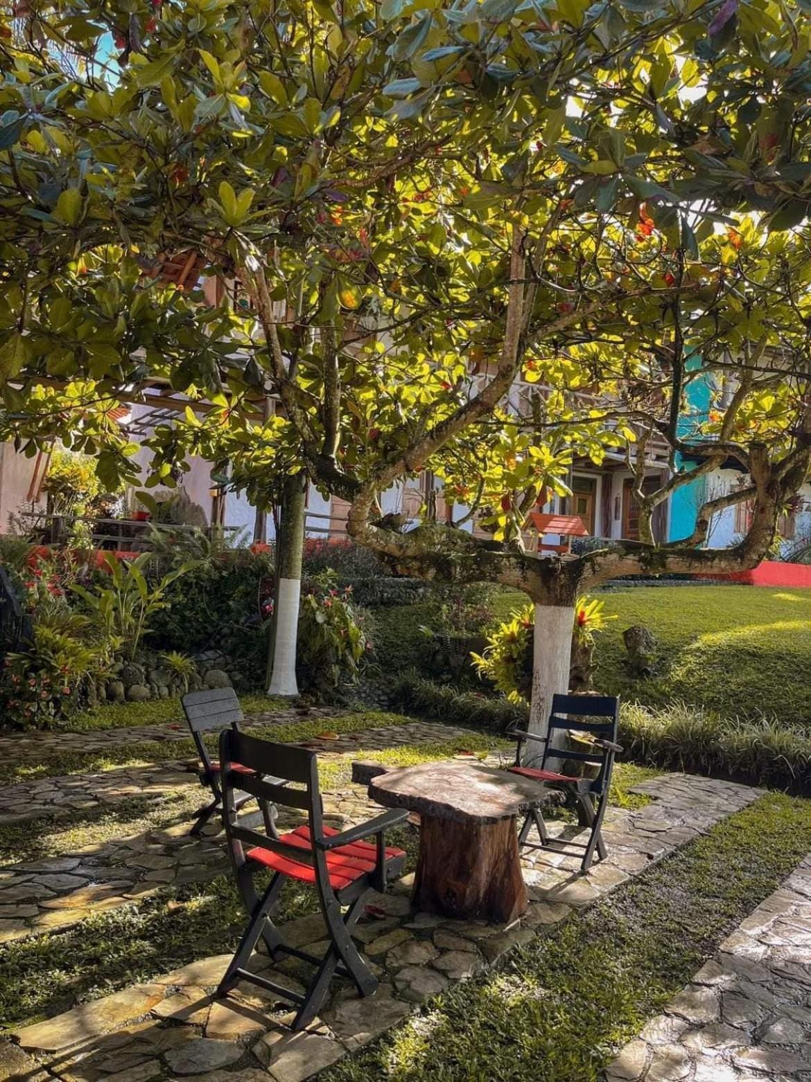 Finca Hotel Palmas Frente A Panaca Quimbaya Luaran gambar
